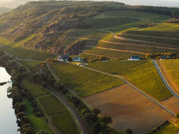 3 Tage Sommerauszeit an der Nahe in Niederhausen (Nahe), Rheinland-Pfalz inkl. Halbpension