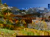 Herbstliche Schmankerl am Wilden Kaiser