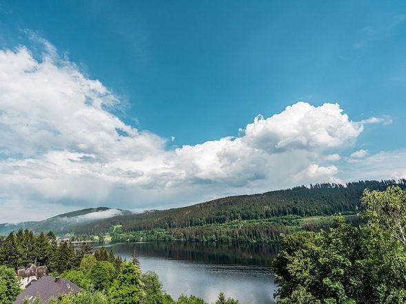 Umgeben vom Schwarzwald - 4 Tage Erholung am Titisee