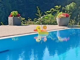 Schnuppertage im Naturpark Schwarzwald Mitte - 3 Tage