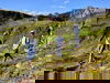 7 Tage Sommerauszeit im Berghotel auf über 1.500m