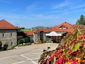 4 Tage Auszeit im Burg-Hotel im Hohen Bogen