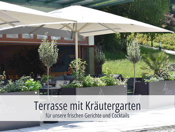 Bild 19 von 48