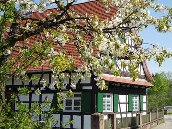 Aktivurlaub - mit dem Fahrrad durch die Ortenau