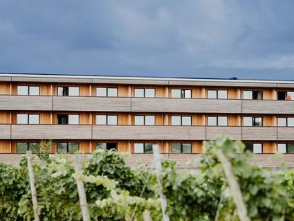 Sonnenhotel Weingut Römmert