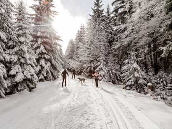 3 Tage die Naturwunder des Vogtlands entdecken