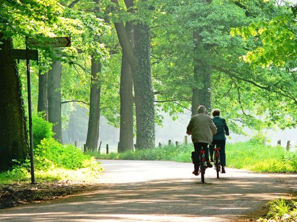 5 Tage - Radlerwoche für Verwöhnte inkl. Abendessen & Lunchpaket in Garrel, Niedersachsen Halbpension Plus