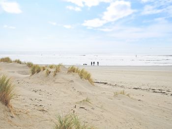 5 Tage Strandparadies Ameland Natur und endlose Weite