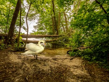 3 Tage in Berlin am Müggelsee mit Privat SPA