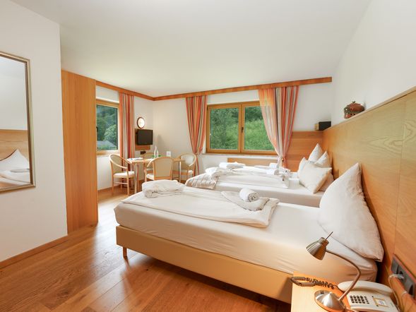 Hotel Künstleralm
