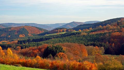 Taunus