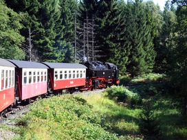 5 Tage Kurzurlaub in Wernigerode