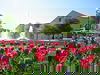 7 Tage im Golfer- und Wellnessparadies Bad Griesbach