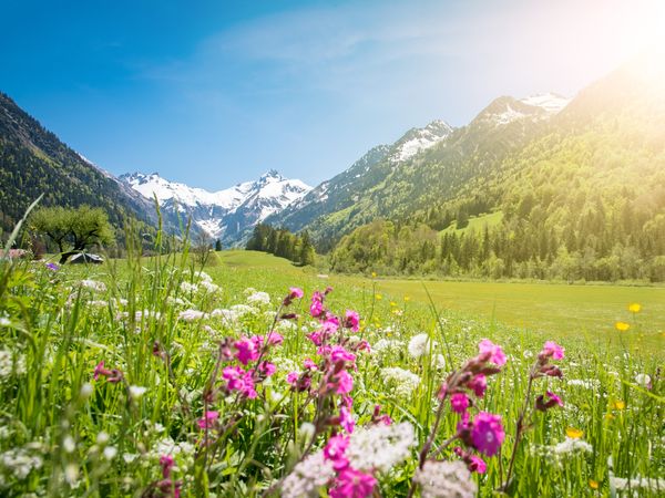 8 Tage Auszeit im wunderschönen Klosters-Serneus, Graubünden inkl. Frühstück