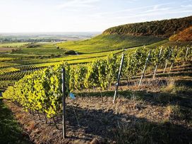 2 Tage im Vital Hotel An Der Therme in Bad Windsheim