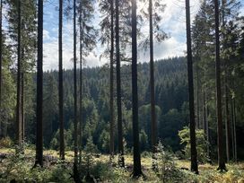 7 Tage nahe des Rothaargebirges im Sauerland