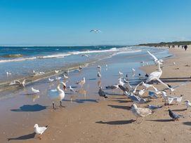 Ostsee-Auszeit in Swinemünde