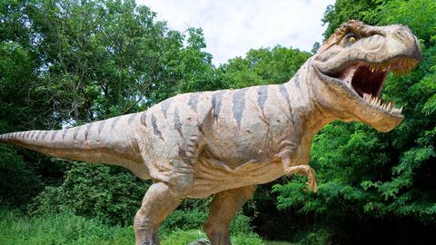 Dinosaurier