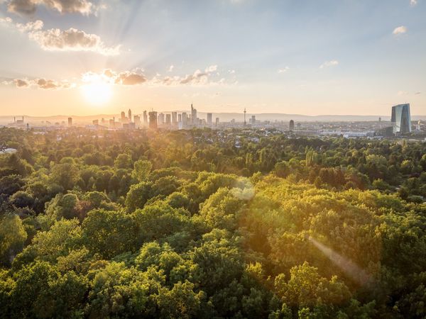 5 Tage Radtrip: Frankfurt und den Taunus entdecken in Frankfurt am Main Halbpension