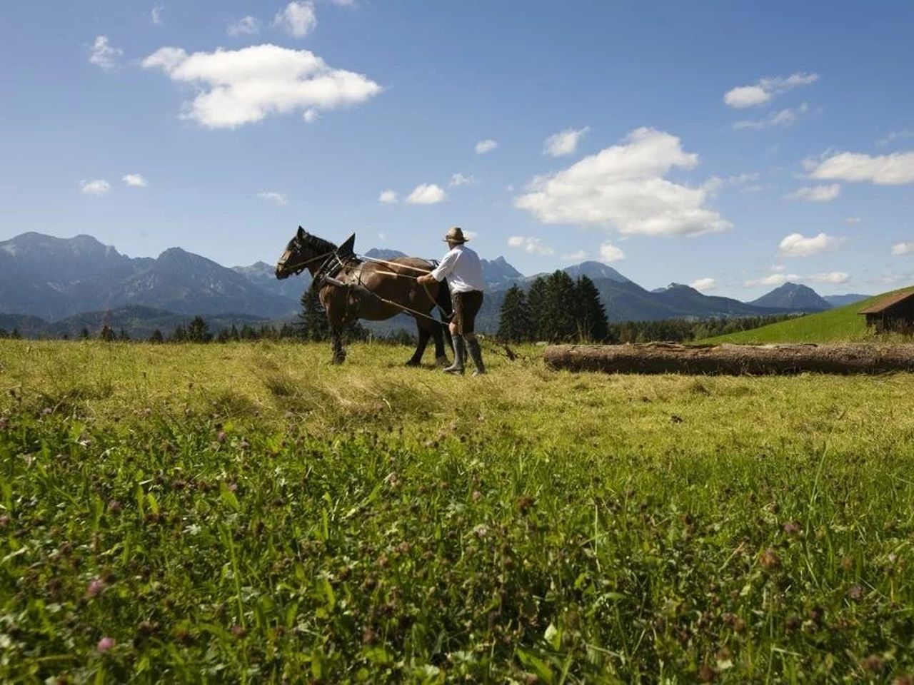 Kleiner Winterzauber im Allgäu!