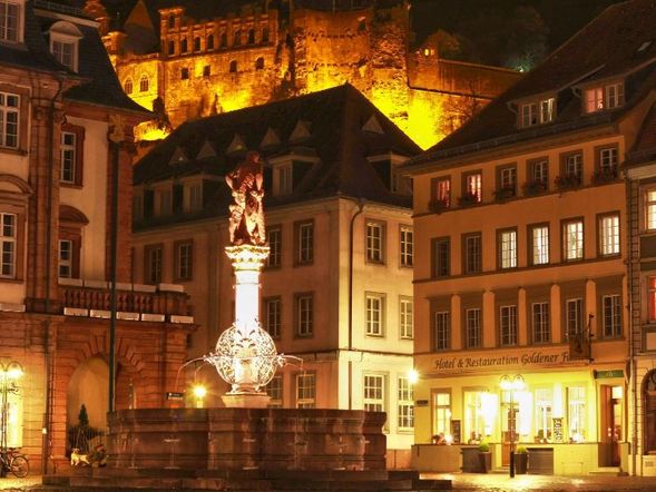 Hotel Goldener Falke
