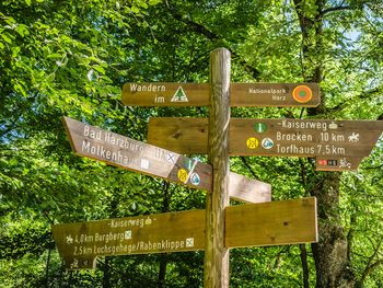 Wandern auf dem Selketal-Stieg