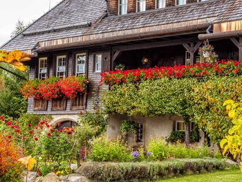 4 Relaxtage im Schwarzwald inkl. Verwöhnpension