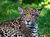 Zoo Rostock Tickets mit Hotel