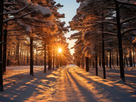 5 Tage Winterkurztrip im Thüringer Wald inkl. HP plus