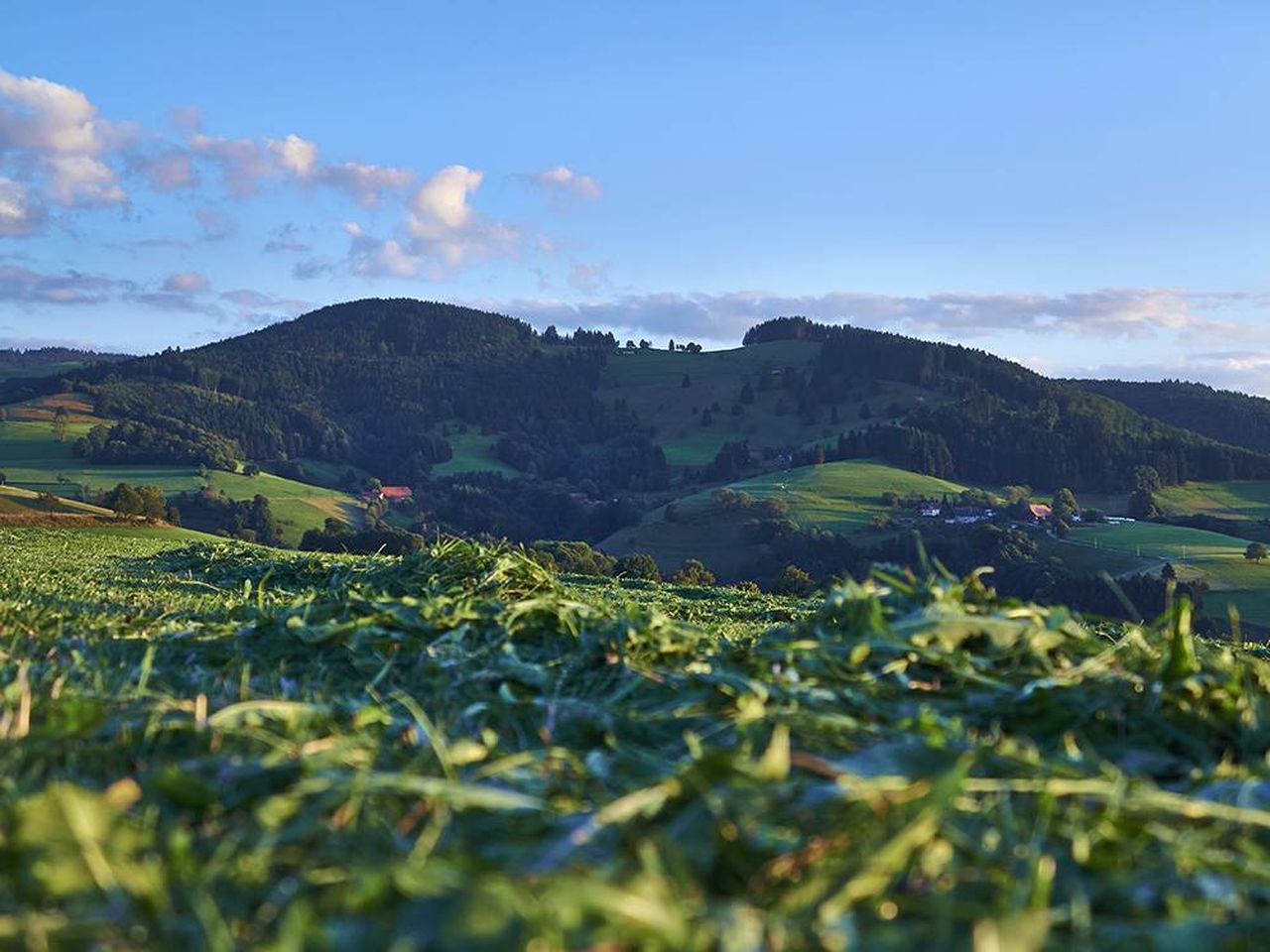 Zeit zu Zweit - Romantische Tage im Schwarzwald