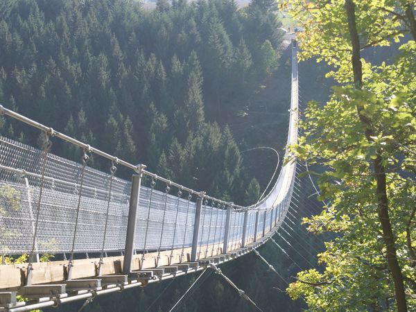 4 Tage Hunsrück: Hängeseilbrücke, Abendessen & Sauna in Lahr (Hunsrück), Rheinland-Pfalz inkl. Halbpension