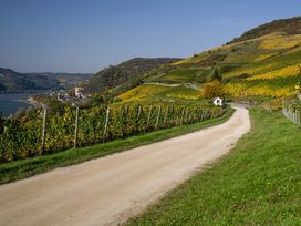 8 Tage Erholung im Tal der Loreley