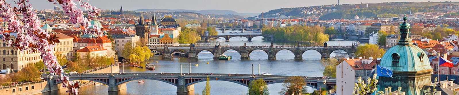 Brücken über einen breiten Fluss vor einer Altstadt mit roten Dächern, vorne Kirschblüten