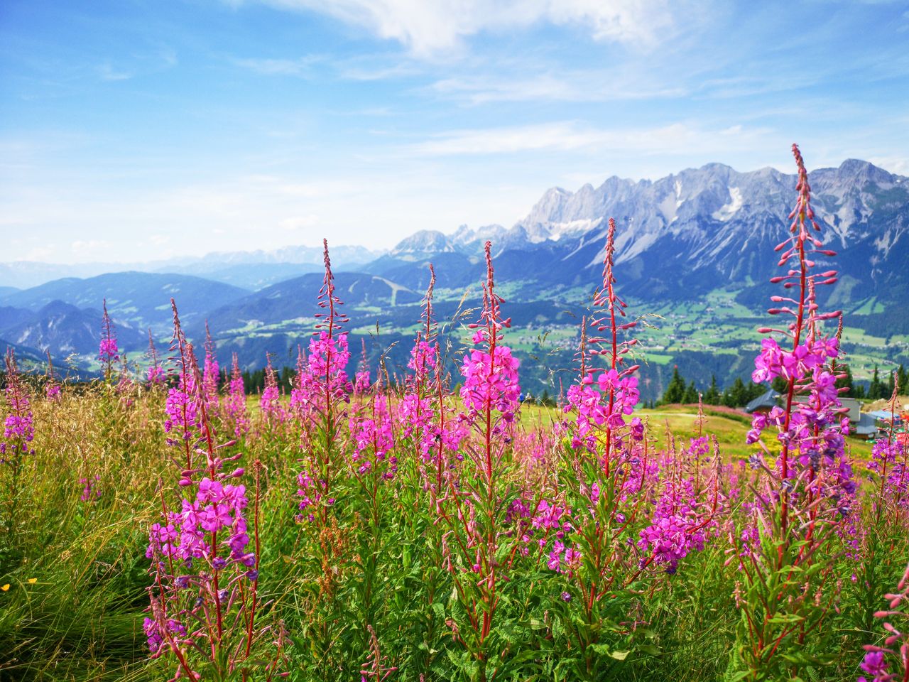 4 Tage Tiroler Familien-Wellnessabenteuer im Schloss