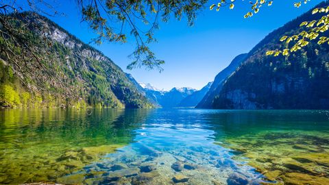 Königssee