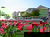 3 Tage im Golfer- und Wellnessparadies Bad Griesbach