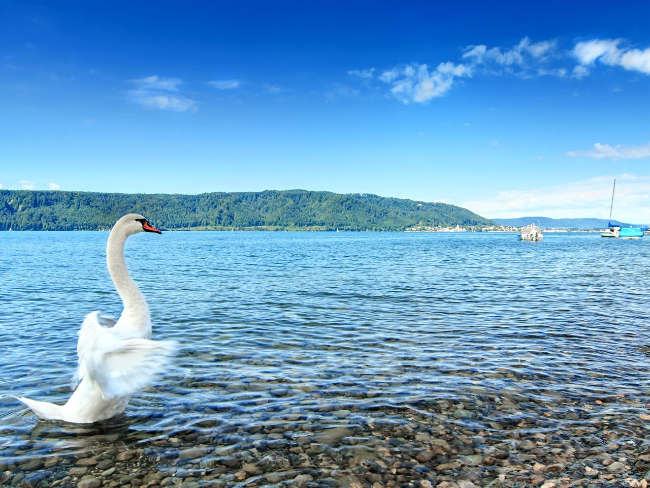 Urlaub am Bodensee - den gönn ich mir! - 5 Tage