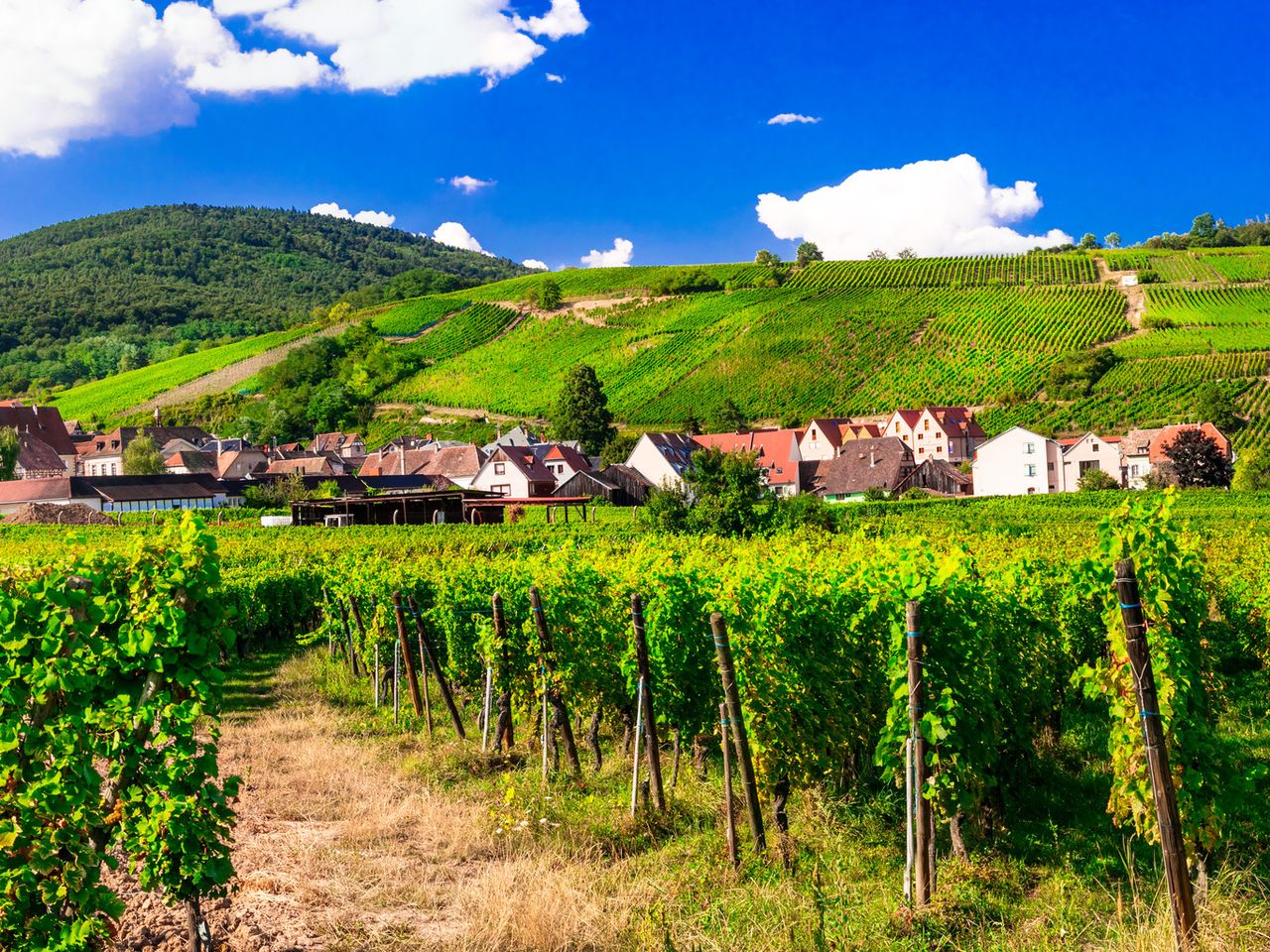 Elsass - Kultur - Wein - 4 Tage