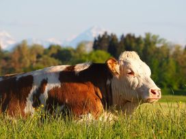 Dein Radl-Glück im Allgäu - Bike, Eat, Sleep & Repeat