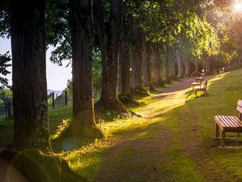 3 Tage Familienabenteuer am Bodensee für Groß & Klein