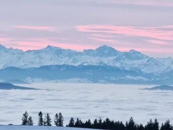 7 Tage Erholung im Bio- und Wellnesshotel Alpenblick