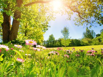 3 Tage Pärchenzeit mit Premium All In & Prosecco