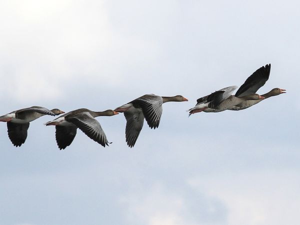 3 Tage Herbstgenuss im Gutshaus mit Wanderung & Dinner (3ÜN) in Ludorf, Mecklenburg-Vorpommern inkl. Halbpension