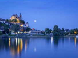2 Tage Genussreise in die Europastadt Breisach m. HP