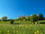 All Inclusive-4 Tage im Ferien Hotel / Thüringer Wald