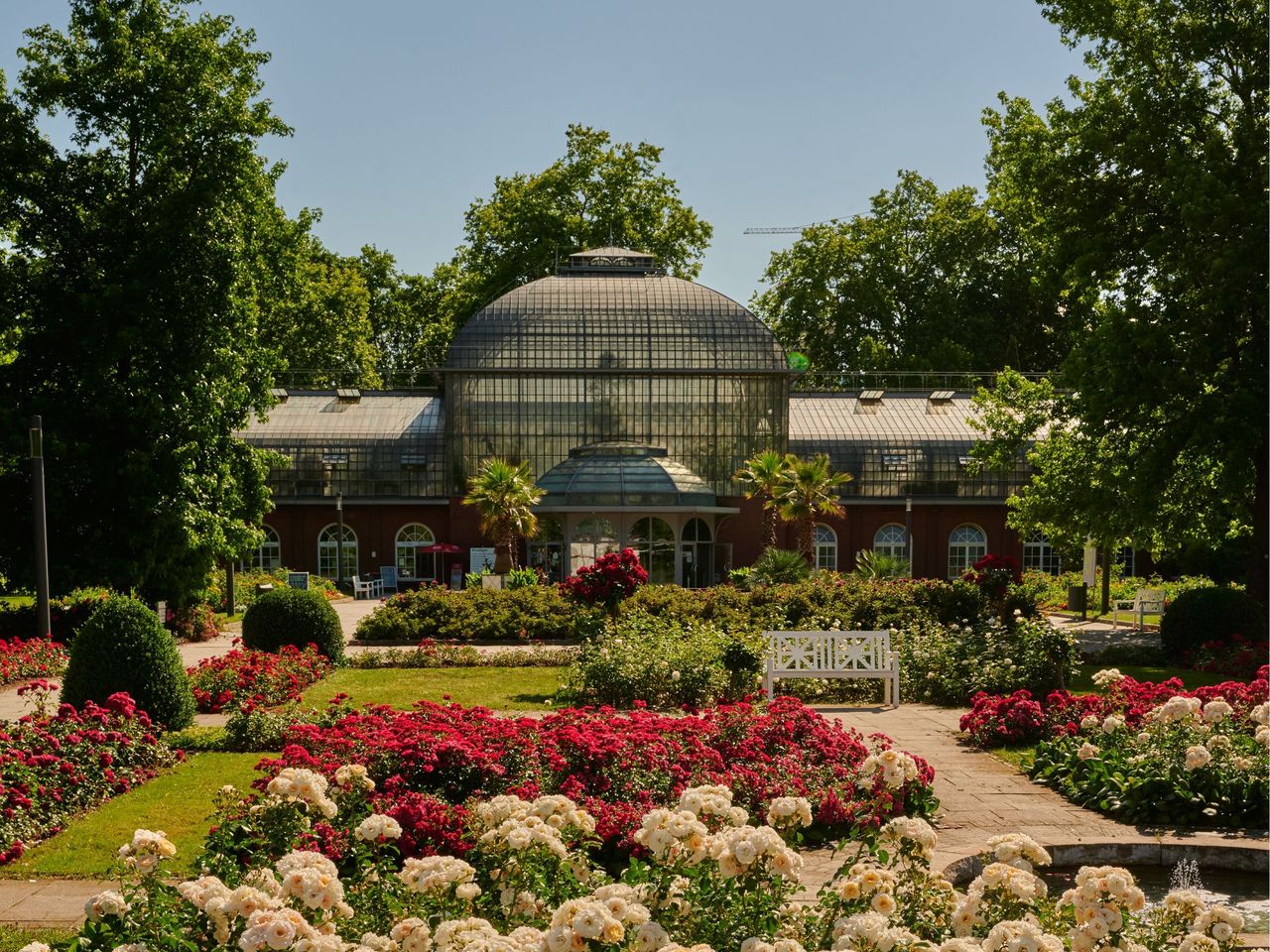 3 Tage Palmengarten Frankfurt Special