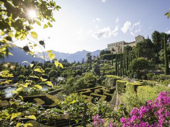 7 Tage Südtirol: Wellness, Naturteich & HP+