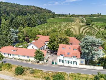 Romantik im Weingut - unser 