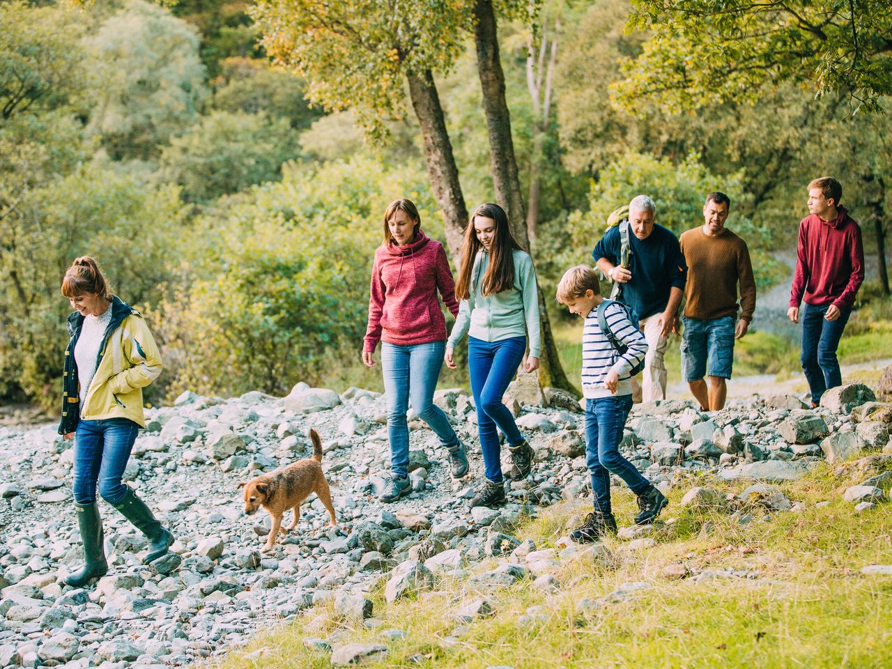 Urlaub mit Hund – Naturgenuss im Allgäu I 5 Tage
