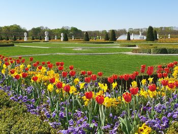 3 Tage Städtereise nach Hannover